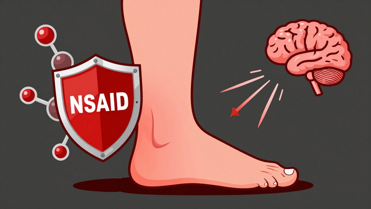 Nociceptive Pain: How Tissue Injury Works and Why NSAIDs Beat Acetaminophen for Inflammation