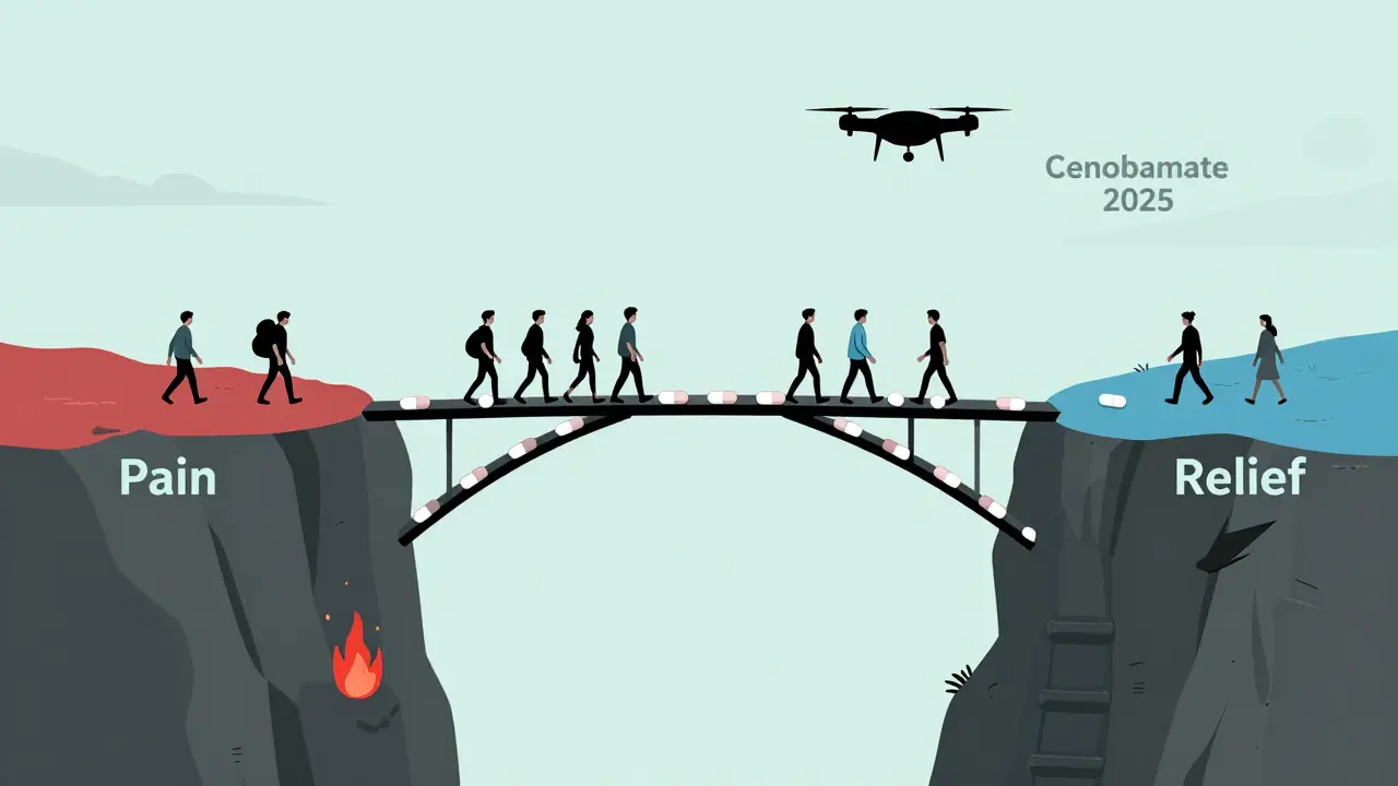 A pill bridge connecting pain to relief, with walkers representing different medications in minimalist duotone art.